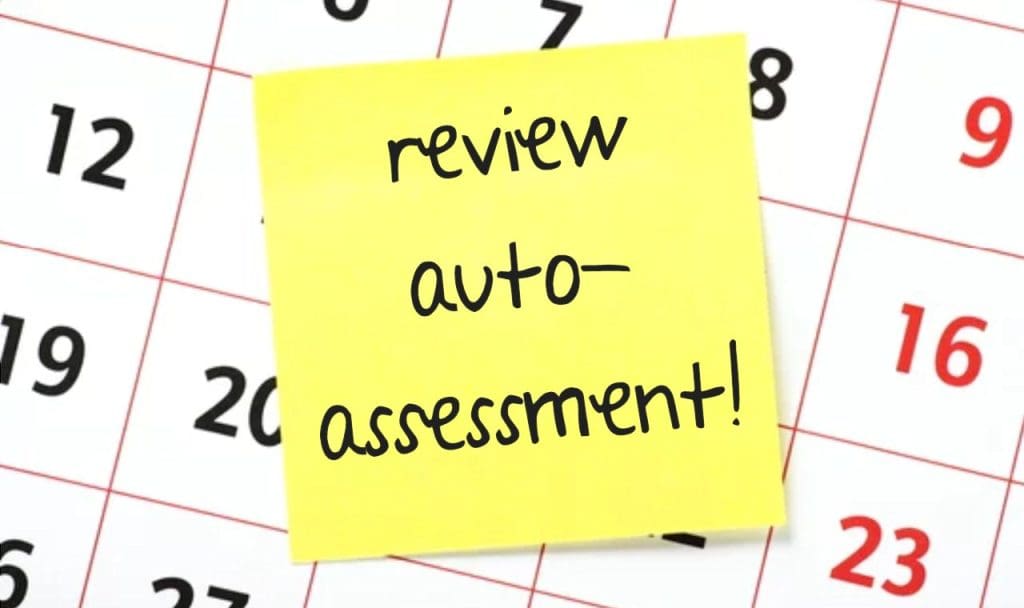 What should you know about Auto Assessment?